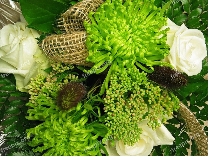 Bouquet Chrysanthemum Nature Flowers White