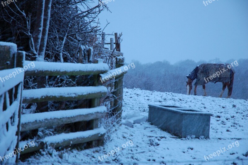 Brecon Beacon Wales Horse Snow Christmas