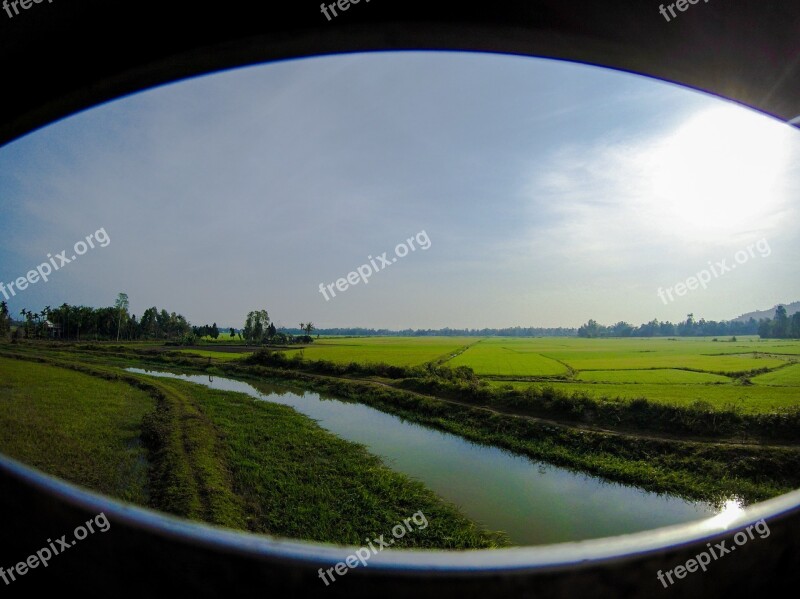 Vietnam Train Ride Rice Rice Paddy Environment