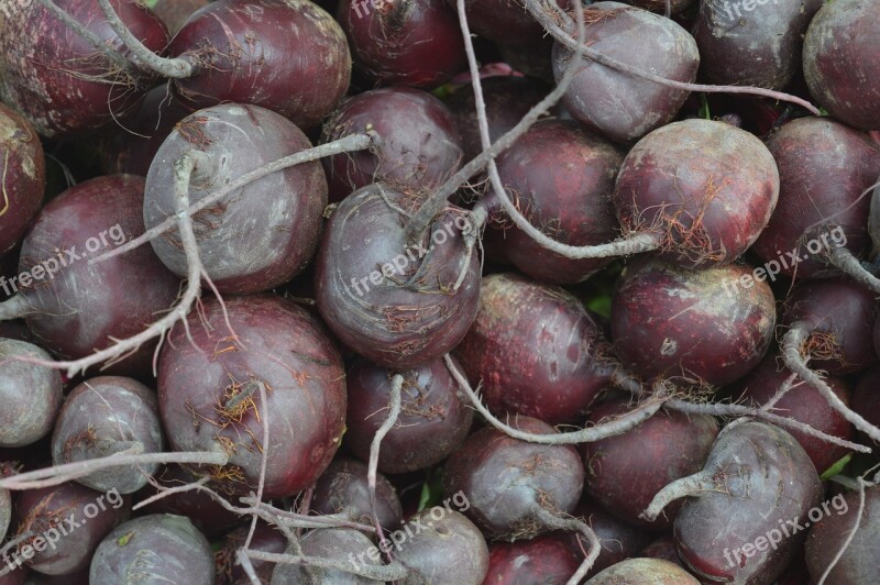 Beets Vegetable Raw Fresh Market