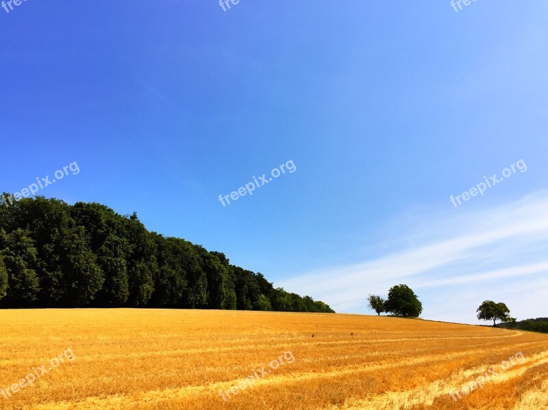 Field Straw Harvest Landscape Sumer