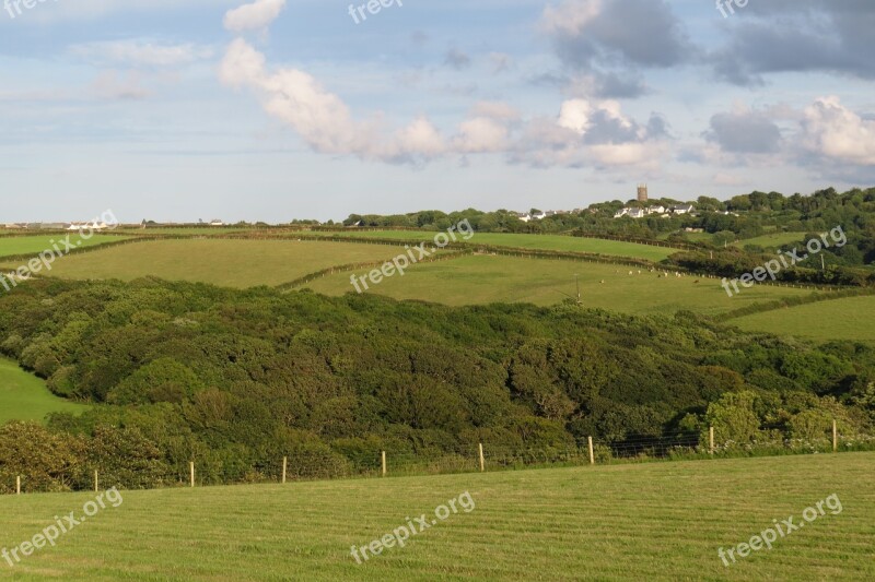 Tress Landscape Village Cows Free Photos