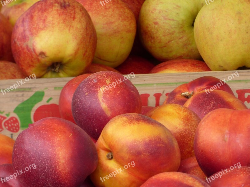 Apples Nectarines Apple Fruit Green Food