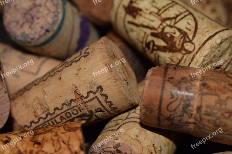 Corks Wine Plugs Oenology Cap