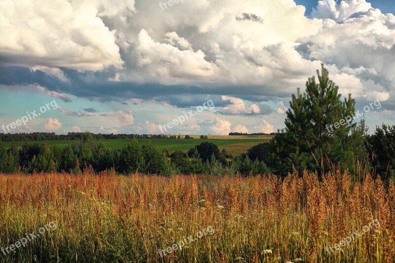 Russia Udmurtia Fields Landscape Wheat