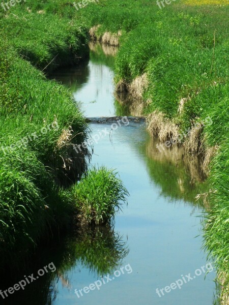 Creek Water Schwarzach Bach Nature