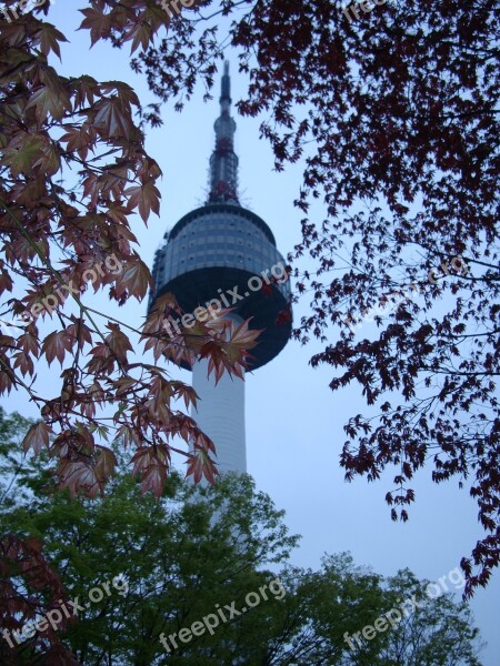 Seoul Namsan Tower South Korea Seoul Park Landmark