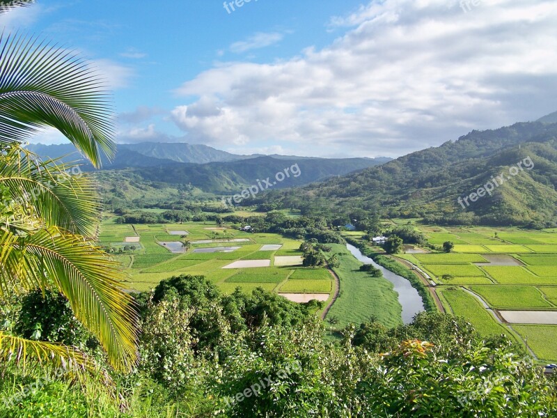 Kauai Hawaii Island Landscape Tropical