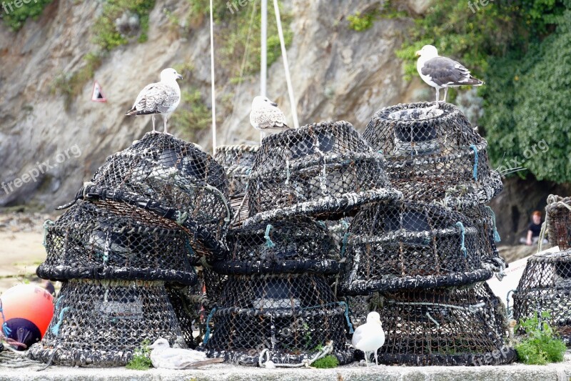 Fishing Nets Crabs Crabbing Fish