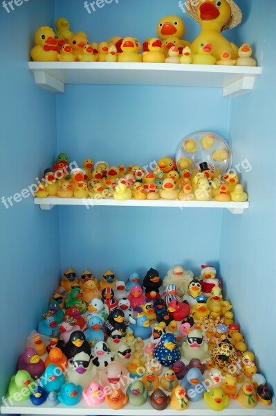 Rubber Duck Collection Yellow Ducks Free Photos