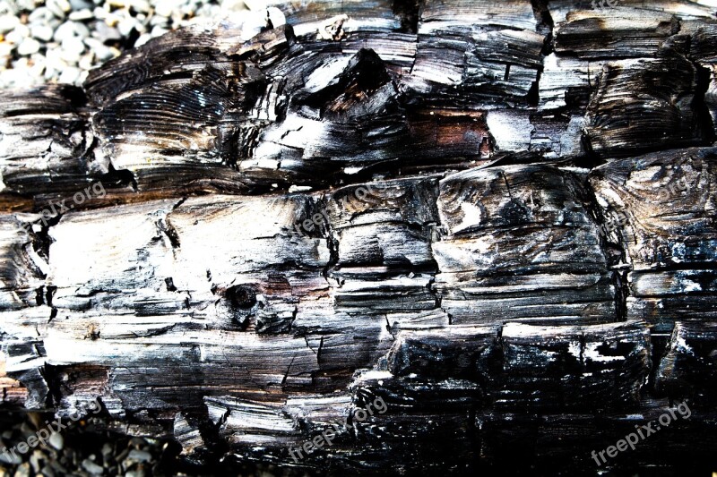 Burned Wood Driftwood Coal Residues