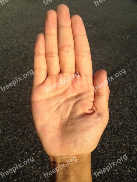 Palm Hand Finger Bleaching Palm Reading