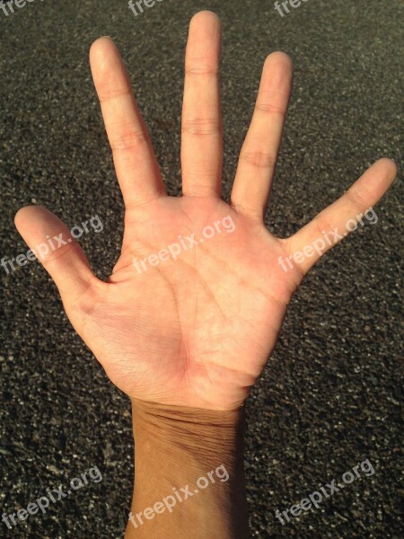 Palm Hand Finger Bleaching Palm Reading