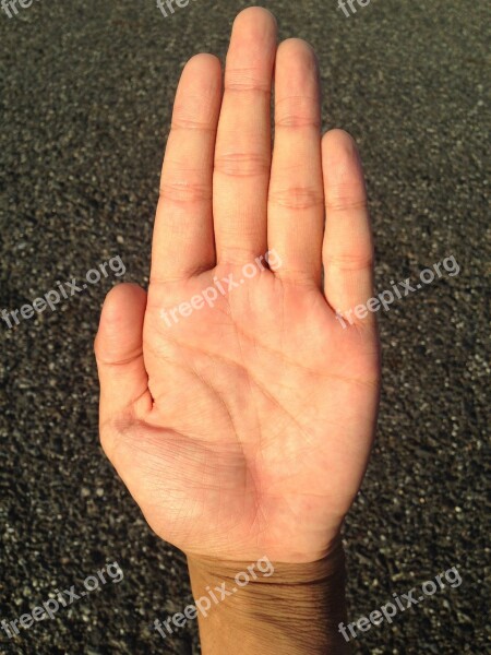 Palm Hand Finger Bleaching Palm Reading