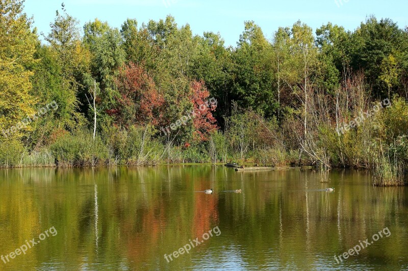 Lake Forest Autumn Nature Landscape