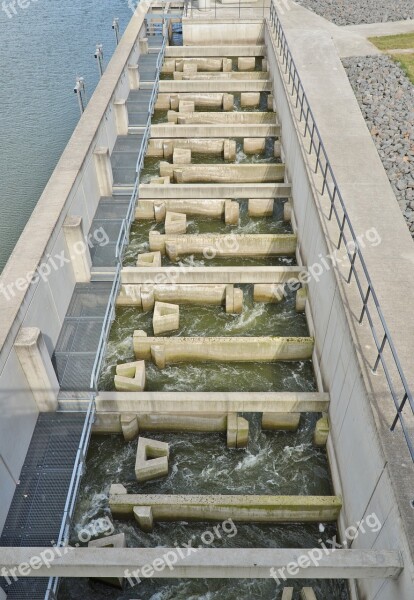 Fish Ladder Trough Stausee Bitterfeld Trough Reservoir