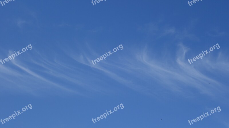 Cirrus Clouds Filaments Weather Sky