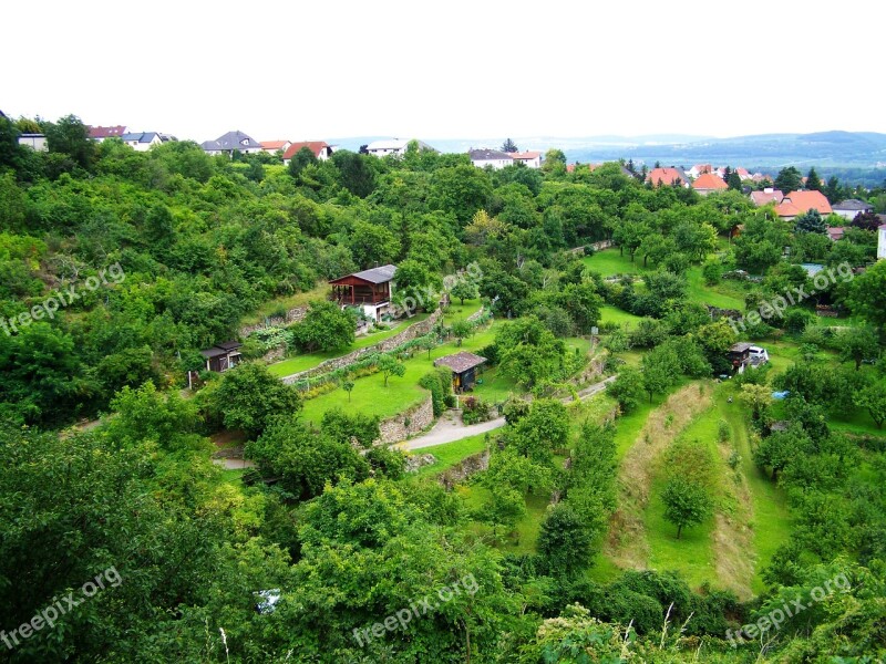 Terrace Cultivation Terraced Gardens Fruit Austria Free Photos