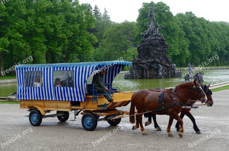 Horse And Cart Wagon Transportation Carriage Traditional