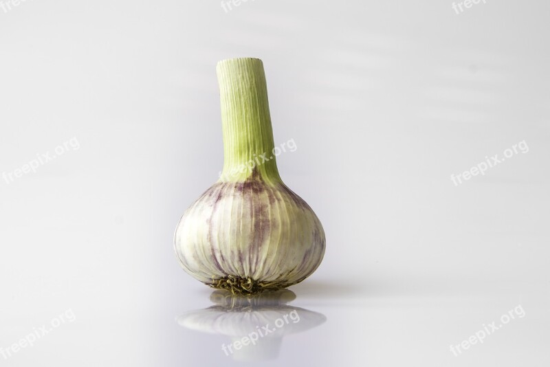 Garlic Head Of Garlic Violet Condiment Allium Sativum