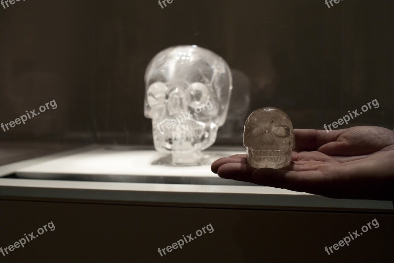 Skull Crystal Museum Hand Free Photos