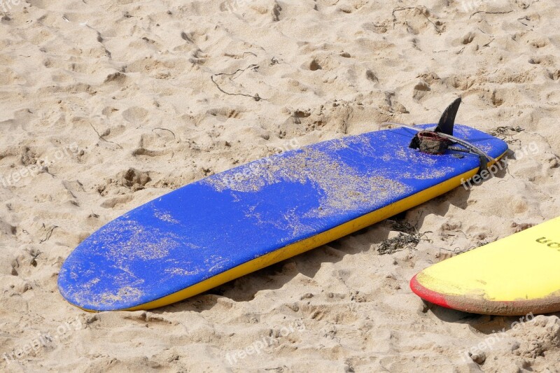 Beach Surf Board Surf Surfing Board