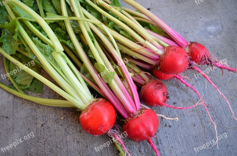 Beets Harvest Organic Food Season