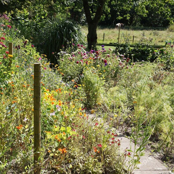 Karen Blixen Museum Denmark Author Garden Nature