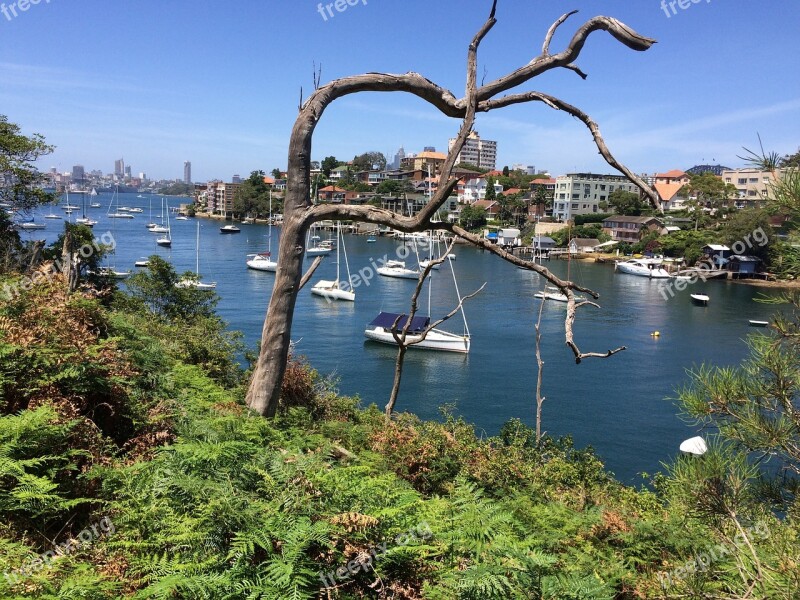 Cremorne Point Sydney Sydney Harbour Free Photos