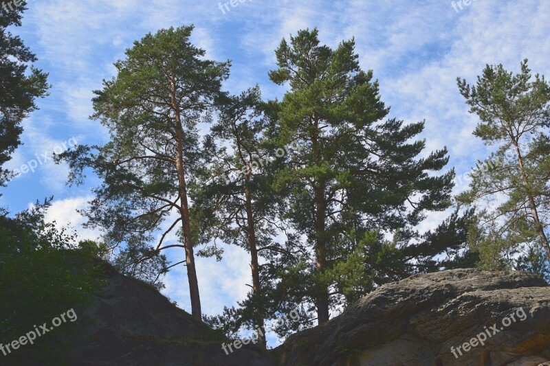 Landscape Sand Stone Pine Rock Sky