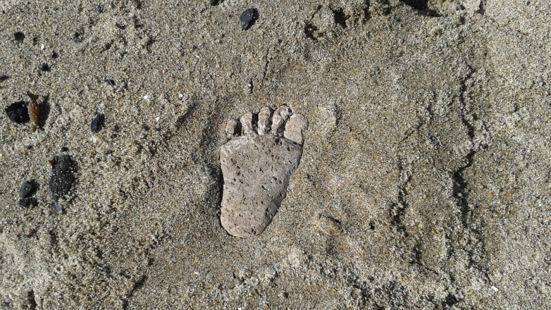 Walking Footprint Barefoot Footstep Beach