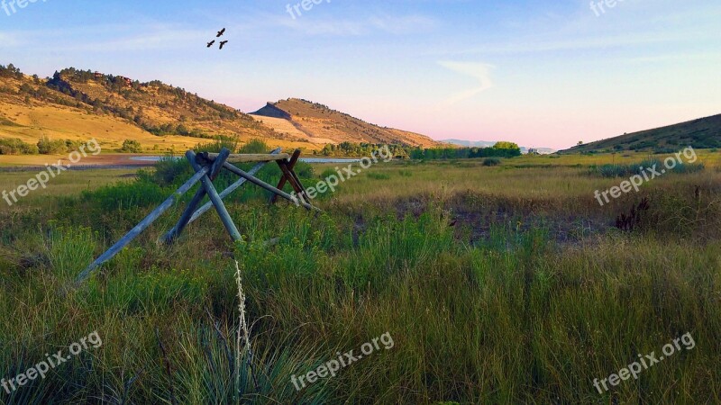 Pineridge Natural Area Hawk Flight Freedom Sky