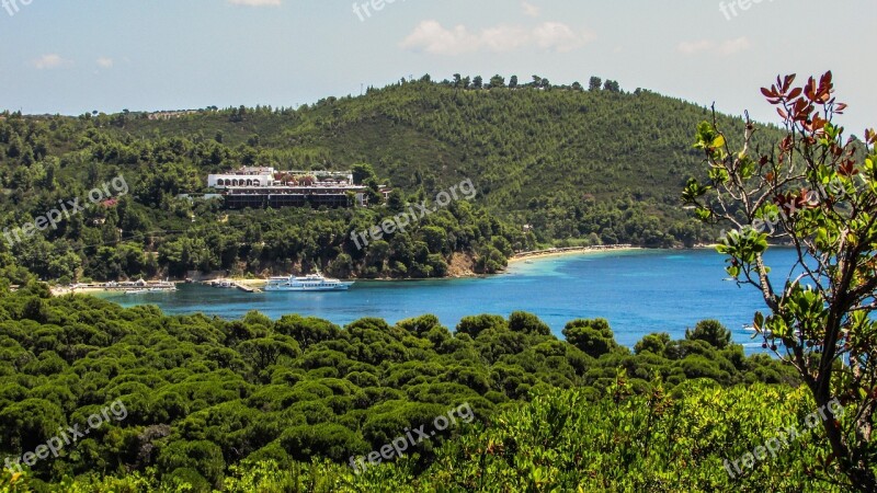 Greece Skiathos Koukounaries Biotope Forest