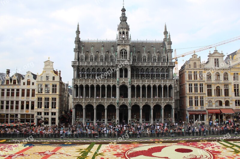 Europe Brussels Flowers Flower Carpet Begonias