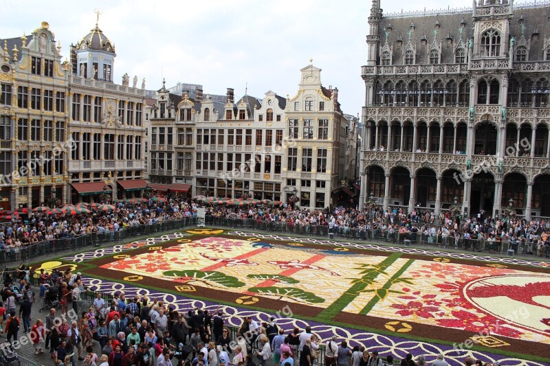 Europe Brussels Flowers Flower Carpet Begonias