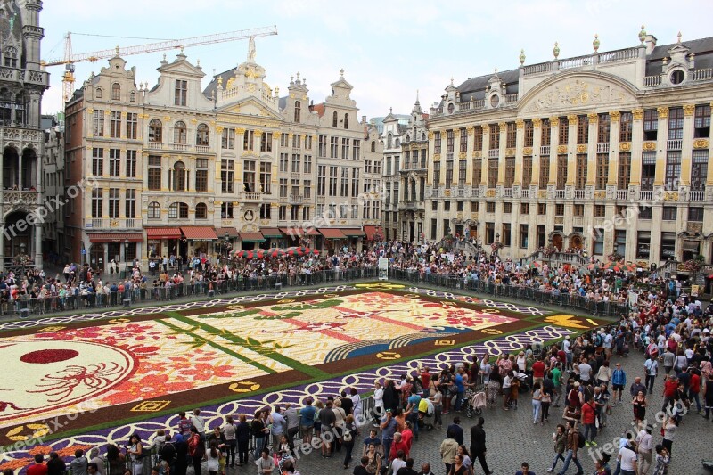 Europe Brussels Flowers Flower Carpet Begonias