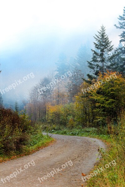 Bieszczady The Road In The Forest Landscape Nature Peace Of Mind