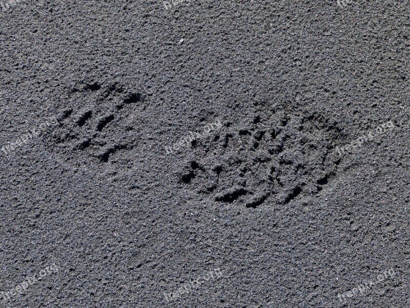 Foot Trace Tracks In The Sand Footprint Sand