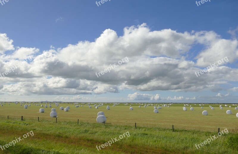 Iceland Landscape Nature Agriculture Meadow