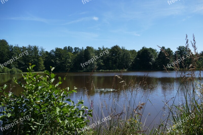 Bad Sachsa Fried Forest Nature Ponds Landscape