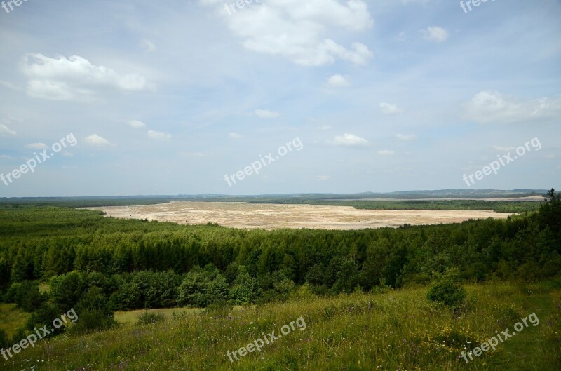 Desert Desert Błędowska Forest View Summer