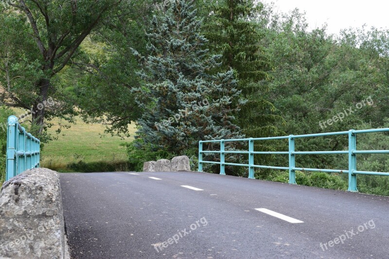 Bridge Road Fence Green Forests