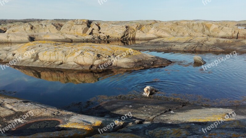 Archipelago Water Landscape Free Photos