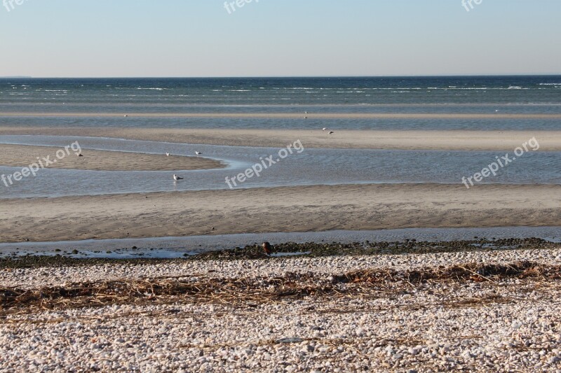 Low Tide Sand Ecology Horizontal Vacation