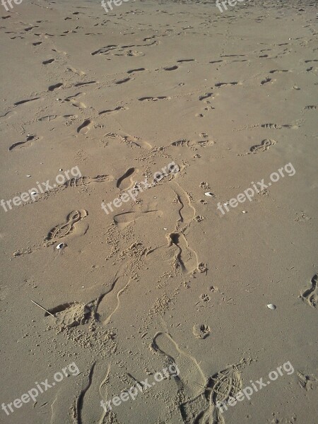 Beach Sand Footprints Ocean Sea