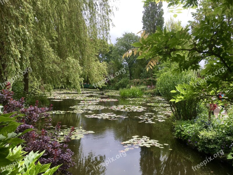 Cluade Monet Water Garden Plant Art Monet Garden