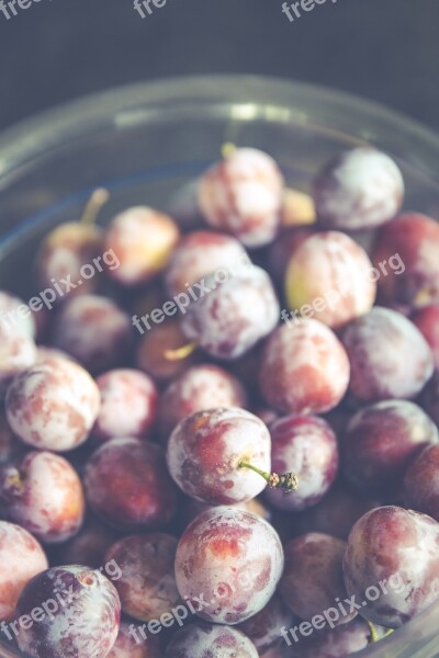 Plums Fruits Fruit Harvest Pick