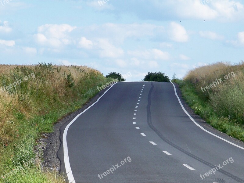 Path Road Landscape Summer Asphalt