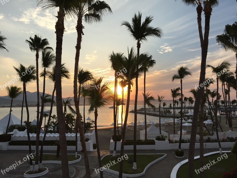 Palm Trees Ocean Summer Beach Paradise