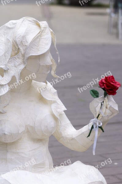 Rosa Rose Statue Women Single